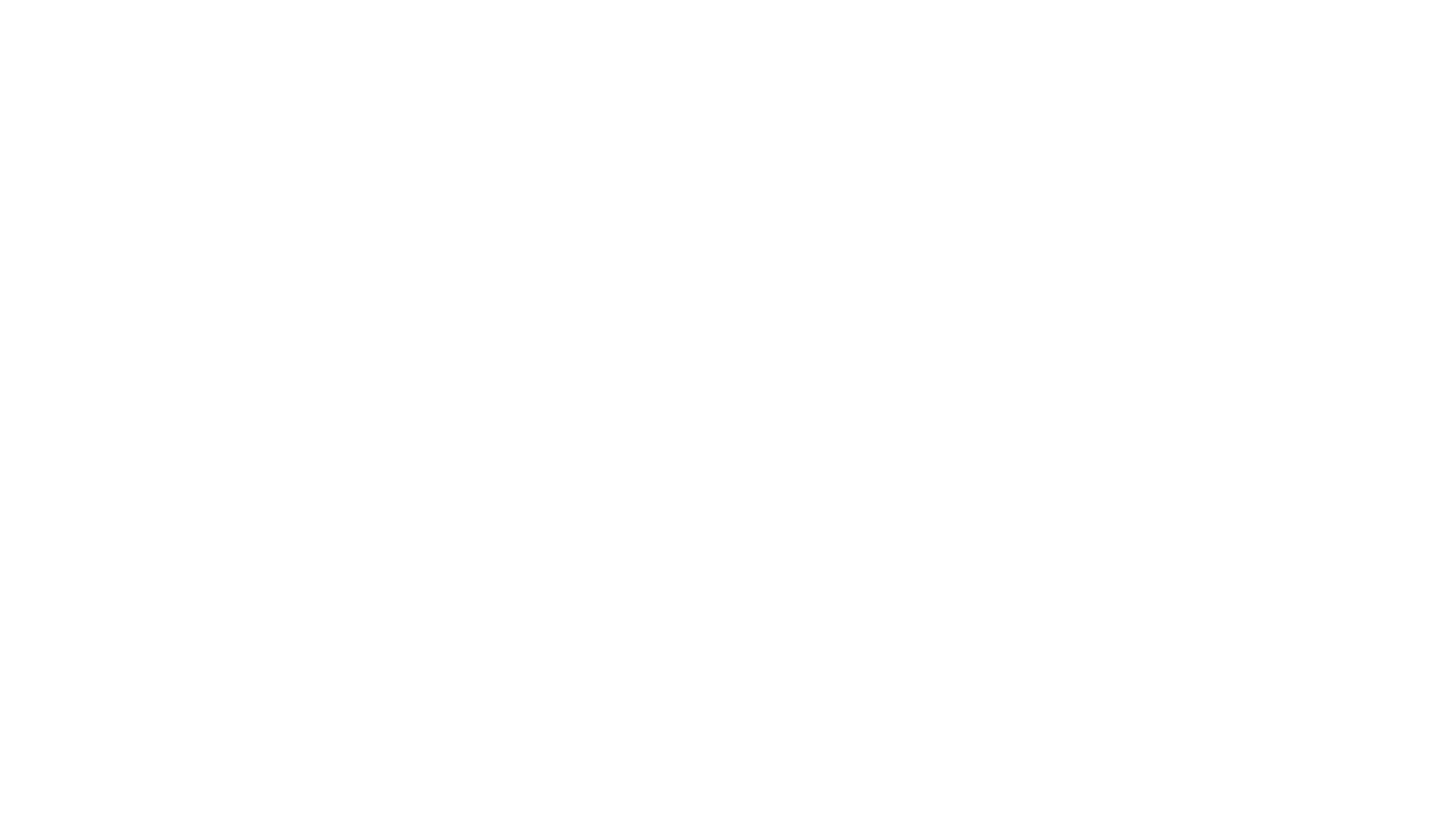 Vektor Group